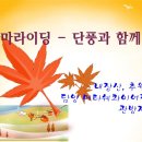 11월 테마 라이딩 - 단풍과 함께.. 내장산, 추월산, 담양관방제림.-코스및 마감변경 이미지