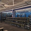 미녀와 야수짐 이미지