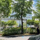 조달청사약국 이미지