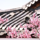 진흥꽃화원 이미지