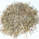 안산늘봄한의원 이미지