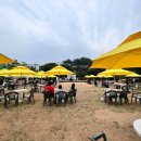 중독(DOG) 이미지