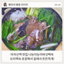 이담능이버섯백숙 | 아차산역 맛집 나능이능이버섯백숙 오리백숙 포장 후기