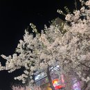 성신닭집 이미지