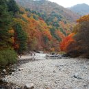 강원산소 이미지