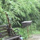 FRONT YARD(앞마당) 이미지