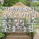 가족/부모님 모시고 가기에 좋은 힐링 코스 통영 "나폴리농원" 내돈내산 후기