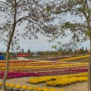 소요산손맛국밥 이미지