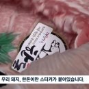 풍둔 외국산 국산 둔갑술! 이미지