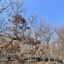 봉산화장실 이미지