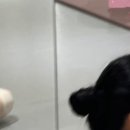 체형교정발레 이미지