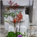 분당요한성당 이미지