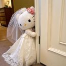 사라웨딩플라워 | 👰🏻‍♀️ 셀레브 브라이덜 촬영 드레스 가봉 후기｜견적, 준비물, 재가봉 후기, 가봉실패하지않는팁