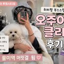 <루원시티> 미용실 "티움헤어" 오주아 클리닉 후기