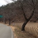 숲과개울펜션야영장 이미지