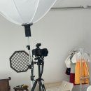 도그시티 | 명지오션시티 주차 편한 사진관 장씨사진관