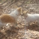 이재구농장 이미지