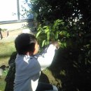 유안농장 이미지