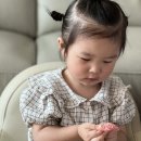 서진덴탈 | 아기 무불소치약과 비비베르데 천연 캡슐세제!