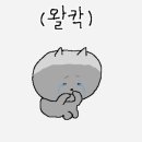 가나드림투어 이미지