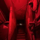 치킨붐붐 | [26.4.30.-5.3.]뽀로로처럼 놀면 몸살 걸리는 나이 스물아홉😷💊