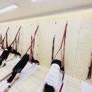 [8주과정]필라테스 요가 이미지