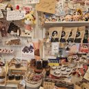 나비공간 이미지