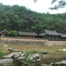 솔숲갈래길 이미지