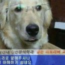 스테이라운지 네이버블로그