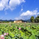 연꽃단지 화장실 이미지