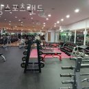 스포츠랜드 이미지