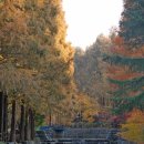 장태산휴양림 이미지