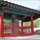 부여(사비)-19 이미지