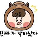 이차돌창원반지점
