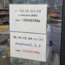 깊이울 호수의 아침 | 🐈 최고 복지 : 치즈냥이 4마리 | 포천 딥포레스트 캠핑장, 4월 벚꽃캠, 정담5 사이트 후기 및 추천 ⛺