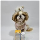 임프로동물병원 이미지