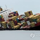 레나의원 이미지