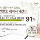 푸른에너지 이미지