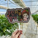 장스아이스크림 이미지