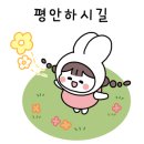 네모에이드 이미지