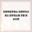 귀로 보는 건강(강좌번호 24) | 의정부입주청소 의정부이사청소 입주청소할 곳을 찾는다면