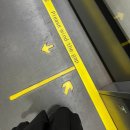 프로존 | 상하이 디즈니랜드 다녀오기:: 주토피아 트론 추천