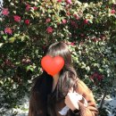 개온 | I❤️제주