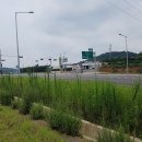 [국도29] 청양군 학당리