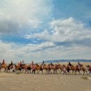 차강농장 이미지