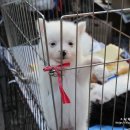 민속장여관 네이버블로그