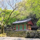 구례 버스킹 공연 이미지