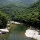 두손모아 반딧불이 이미지