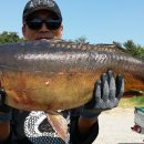 광탄낚시터 이미지