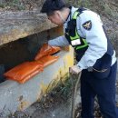 온양지구대 이미지